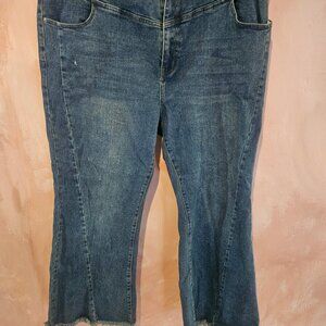 cider denim high rise wide leg raw hem 3XL